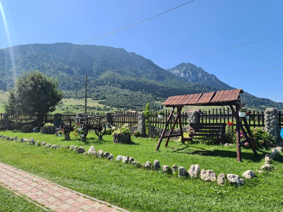 Maricom Home Zărneşti Extérieur photo